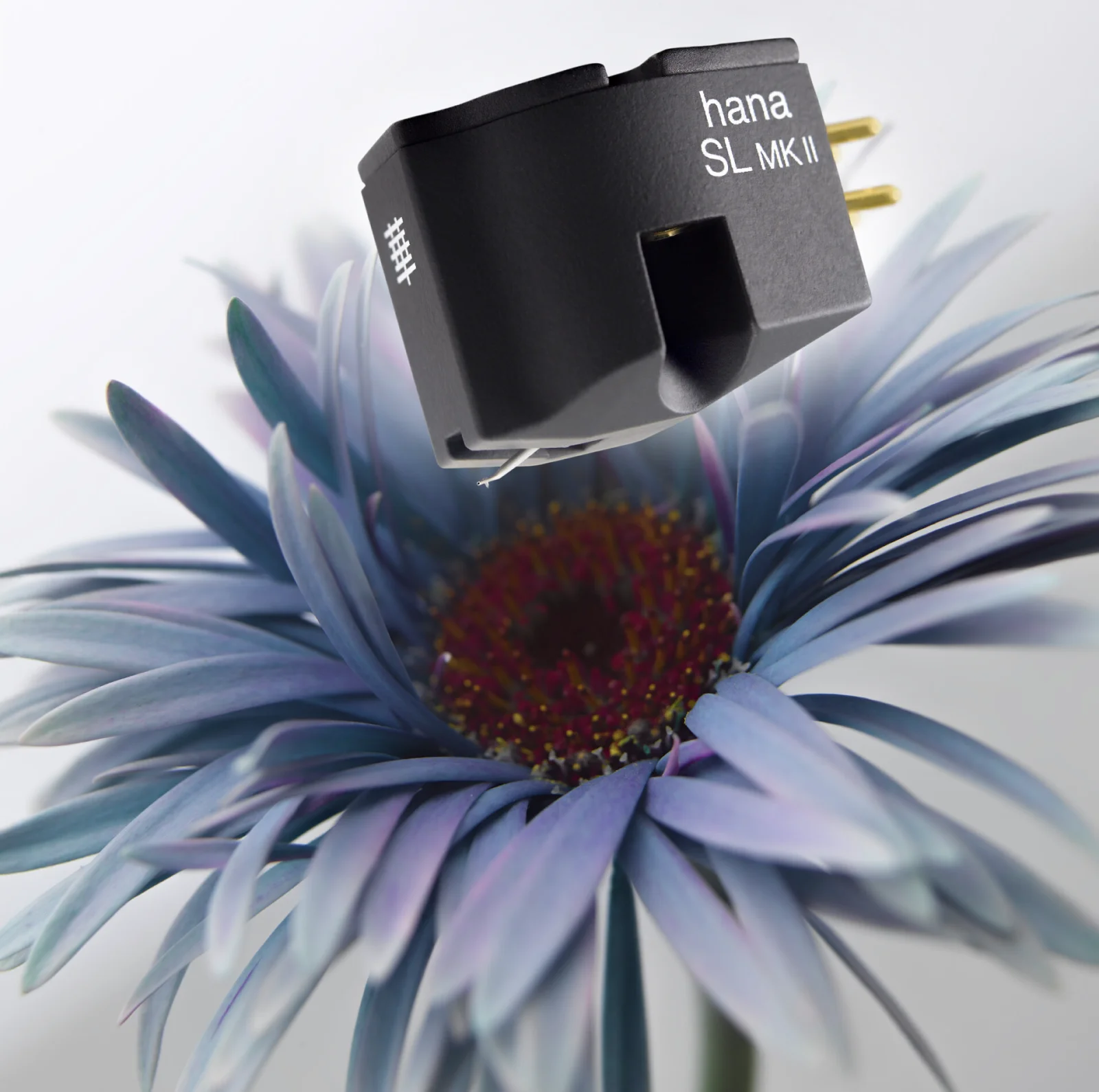 Hana SL MK2 Tonabnehmer schwebend über Blume